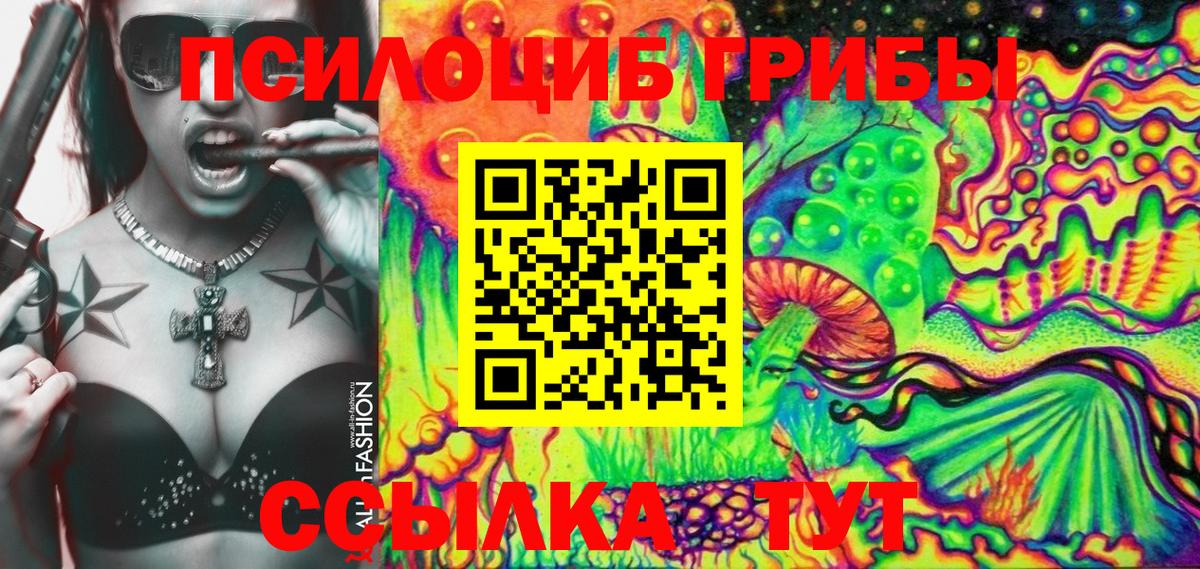 Псилоцибиновые грибы Cubensis Урюпинск