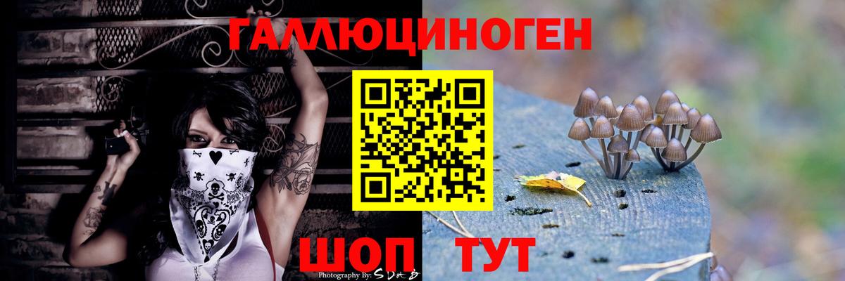 Галлюциногенные грибы MAGIC MUSHROOMS  Вход с VPN  Урюпинск  Псилоцибиновые грибы Psilocybe 